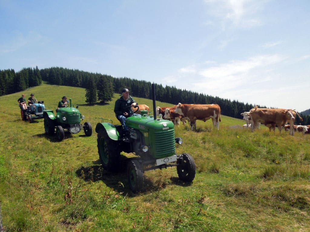 Mitglieder des Traktor-Oldtimer-Clubs Markt Hartmannsdorf bei einer Ausfahrt mit ihren Oldtimer-Traktoren über die steirischen Almwiesen