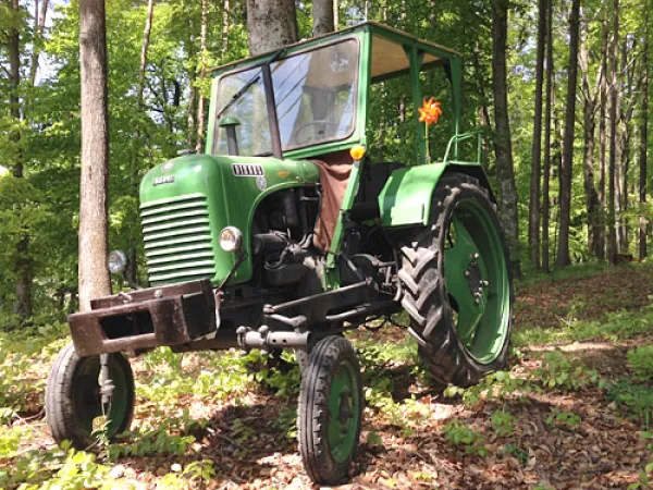 Steyr 80A von Huber Karl (Baujahr 1955) – Traktor-Oldtimer-Club Markt Hartmannsdorf