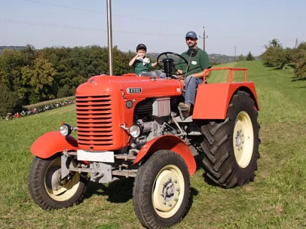 Steyr 185A von Fink Wolfgang Josef (Baujahr 1960) – Traktor-Oldtimer-Club Markt Hartmannsdorf