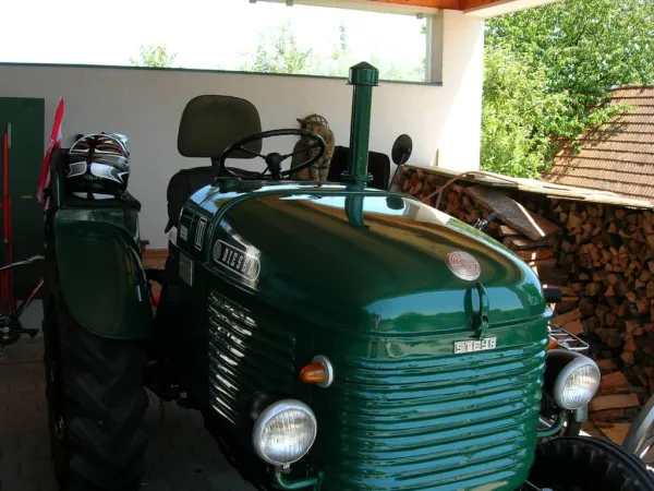 TOC 2009 – Traktor-Oldtimer-Club Markt Hartmannsdorf, Foto 4