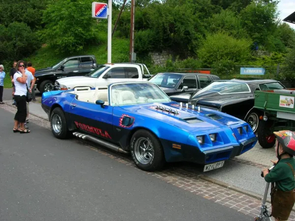 TOC 2009 – Traktor-Oldtimer-Club Markt Hartmannsdorf, Foto 18