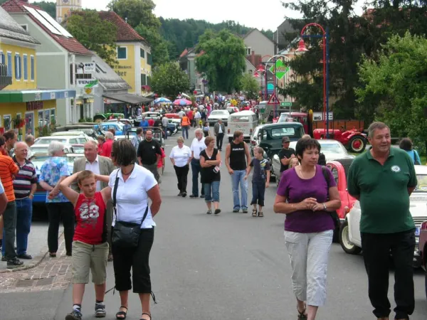 TOC 2009 – Traktor-Oldtimer-Club Markt Hartmannsdorf, Foto 20