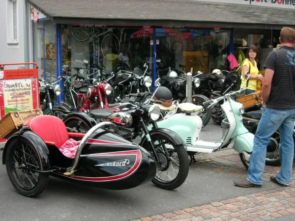 TOC 2009 – Traktor-Oldtimer-Club Markt Hartmannsdorf, Foto 26