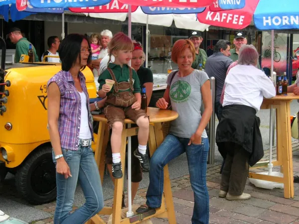 TOC 2009 – Traktor-Oldtimer-Club Markt Hartmannsdorf, Foto 27
