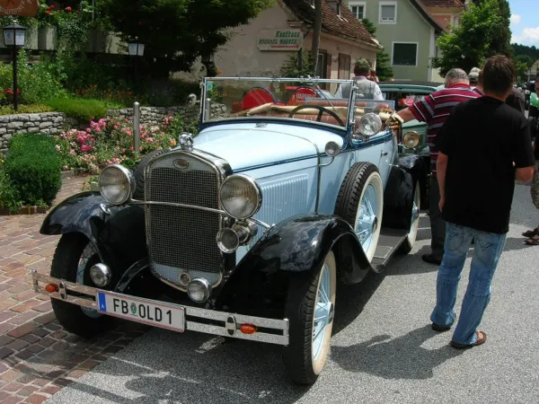 TOC 2009 – Traktor-Oldtimer-Club Markt Hartmannsdorf, Foto 33