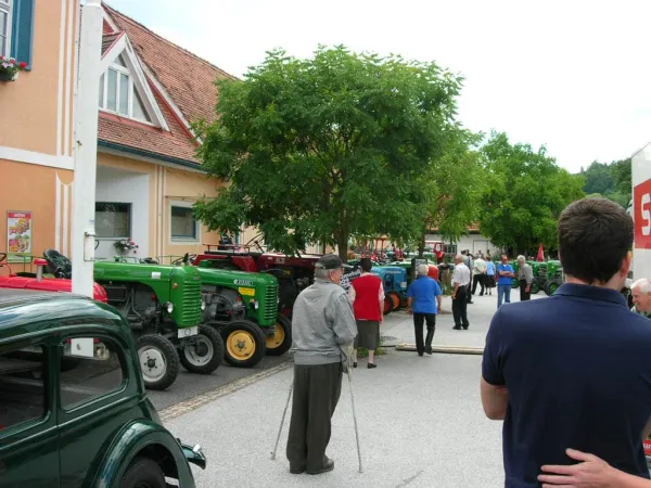 TOC 2009 – Traktor-Oldtimer-Club Markt Hartmannsdorf, Foto 39
