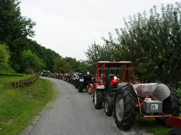 TRAKTOROLYMPIADE 2010 – Traktor-Oldtimer-Club Markt Hartmannsdorf, Foto 8
