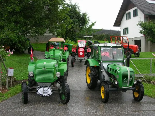 TRAKTOROLYMPIADE 2010 – Traktor-Oldtimer-Club Markt Hartmannsdorf, Foto 20