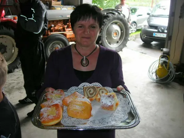 TRAKTOROLYMPIADE 2010 – Traktor-Oldtimer-Club Markt Hartmannsdorf, Foto 21