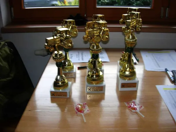 TRAKTOROLYMPIADE 2010 – Traktor-Oldtimer-Club Markt Hartmannsdorf, Foto 43