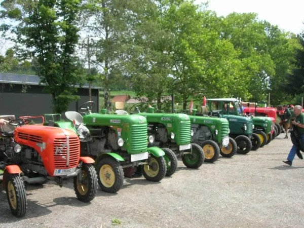 TOC GAMLITZ 2011 – Traktor-Oldtimer-Club Markt Hartmannsdorf, Foto 21