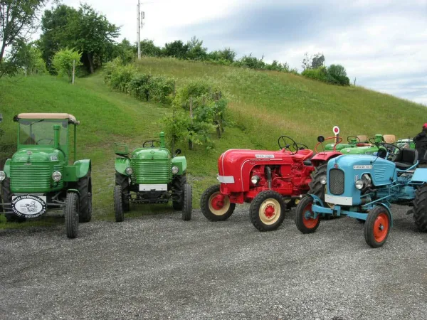TOC GAMLITZ 2011 – Traktor-Oldtimer-Club Markt Hartmannsdorf, Foto 54