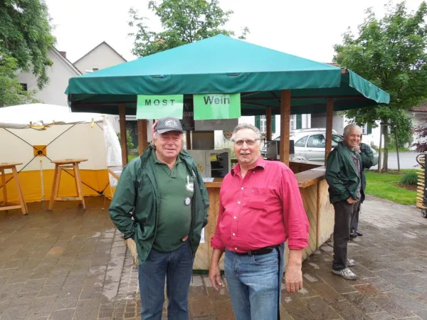 TOC FEST 2012 – Traktor-Oldtimer-Club Markt Hartmannsdorf, Foto 2