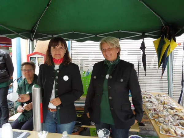 TOC FEST 2012 – Traktor-Oldtimer-Club Markt Hartmannsdorf, Foto 11