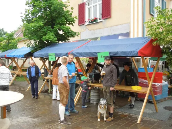 TOC FEST 2012 – Traktor-Oldtimer-Club Markt Hartmannsdorf, Foto 16