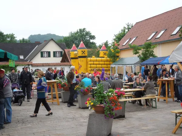 TOC FEST 2012 – Traktor-Oldtimer-Club Markt Hartmannsdorf, Foto 38