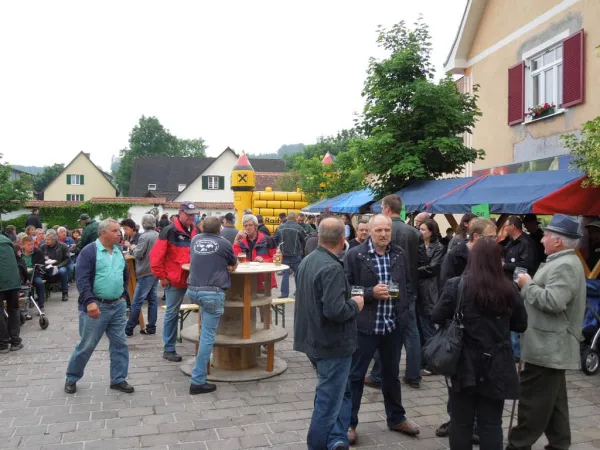TOC FEST 2012 – Traktor-Oldtimer-Club Markt Hartmannsdorf, Foto 40