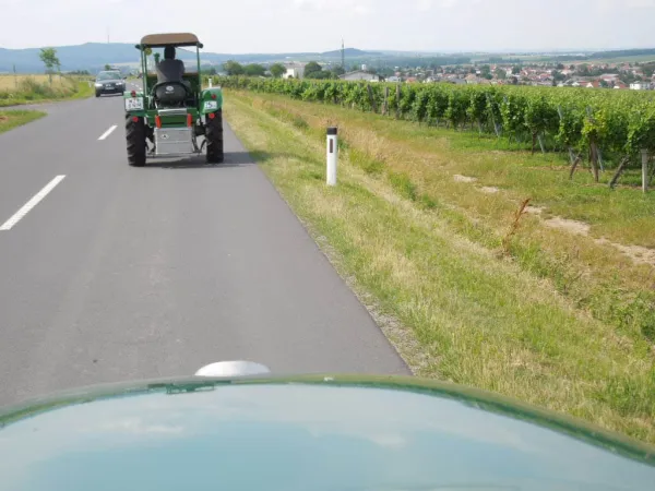 BURGENLAND 2013 – Traktor-Oldtimer-Club Markt Hartmannsdorf, Foto 17