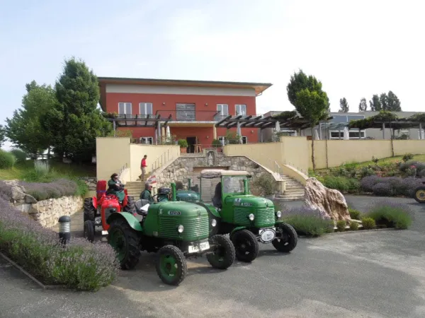 BURGENLAND 2013 – Traktor-Oldtimer-Club Markt Hartmannsdorf, Foto 19