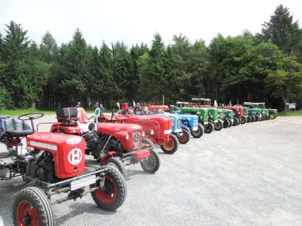 BURGENLAND 2013 – Traktor-Oldtimer-Club Markt Hartmannsdorf, Foto 34