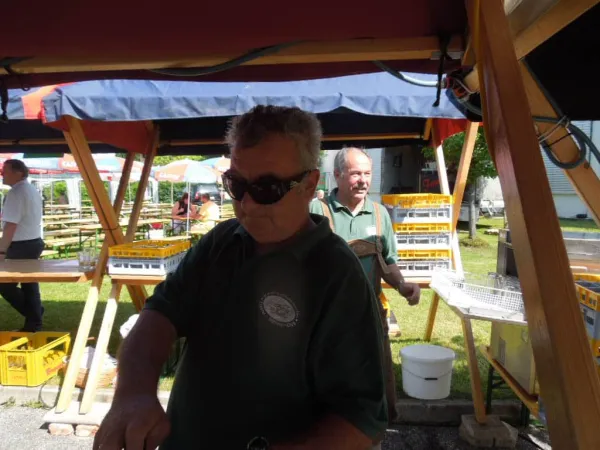 TOC FEST 2013 – Traktor-Oldtimer-Club Markt Hartmannsdorf, Foto 8