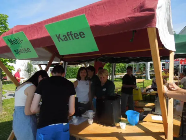 TOC FEST 2013 – Traktor-Oldtimer-Club Markt Hartmannsdorf, Foto 11