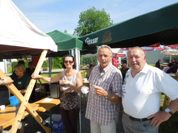TOC FEST 2013 – Traktor-Oldtimer-Club Markt Hartmannsdorf, Foto 12