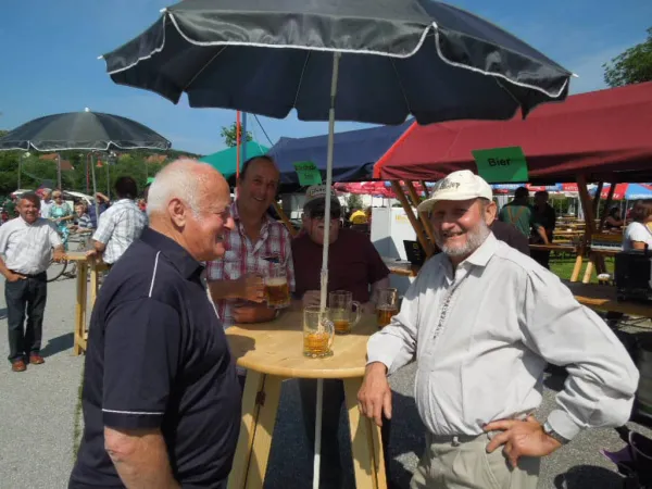 TOC FEST 2013 – Traktor-Oldtimer-Club Markt Hartmannsdorf, Foto 16