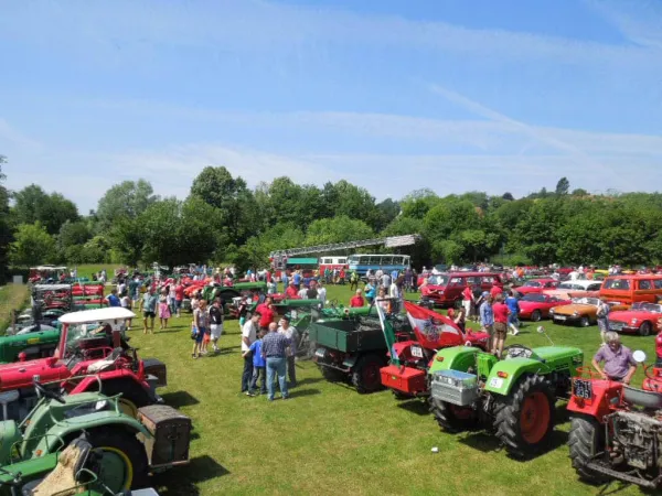 TOC FEST 2013 – Traktor-Oldtimer-Club Markt Hartmannsdorf, Foto 39