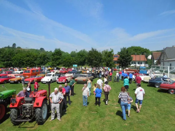 TOC FEST 2013 – Traktor-Oldtimer-Club Markt Hartmannsdorf, Foto 41