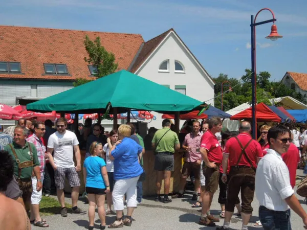 TOC FEST 2013 – Traktor-Oldtimer-Club Markt Hartmannsdorf, Foto 50