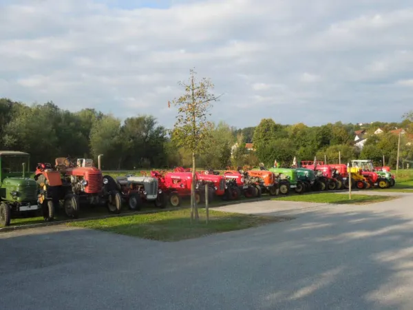 TRAKTOROLYMPIADE - LÖWENRALLYE 2013 – Traktor-Oldtimer-Club Markt Hartmannsdorf, Foto 6