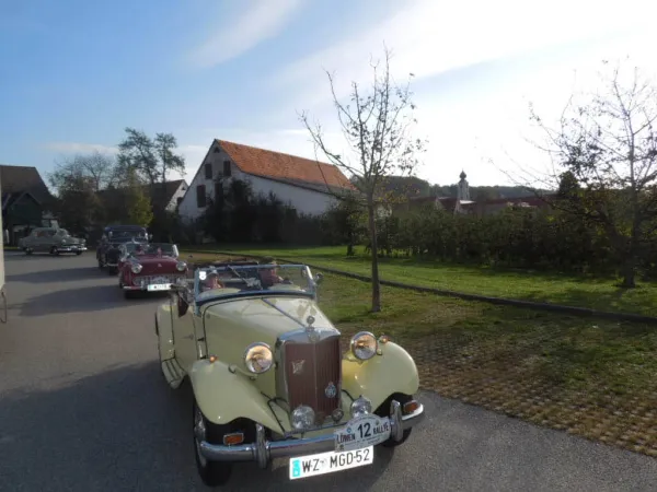 TRAKTOROLYMPIADE - LÖWENRALLYE 2013 – Traktor-Oldtimer-Club Markt Hartmannsdorf, Foto 20