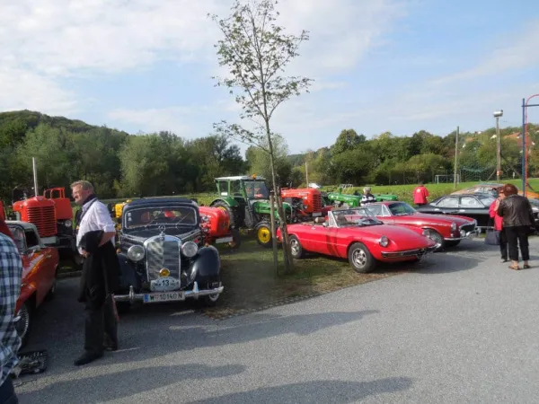 TRAKTOROLYMPIADE - LÖWENRALLYE 2013 – Traktor-Oldtimer-Club Markt Hartmannsdorf, Foto 29