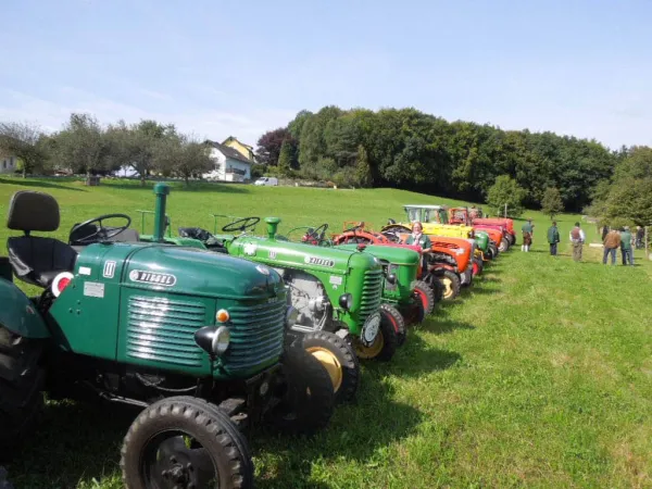 TRAKTOROLYMPIADE - LÖWENRALLYE 2013 – Traktor-Oldtimer-Club Markt Hartmannsdorf, Foto 42