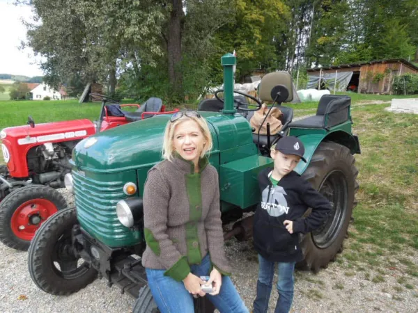 TRAKTOROLYMPIADE - LÖWENRALLYE 2013 – Traktor-Oldtimer-Club Markt Hartmannsdorf, Foto 63