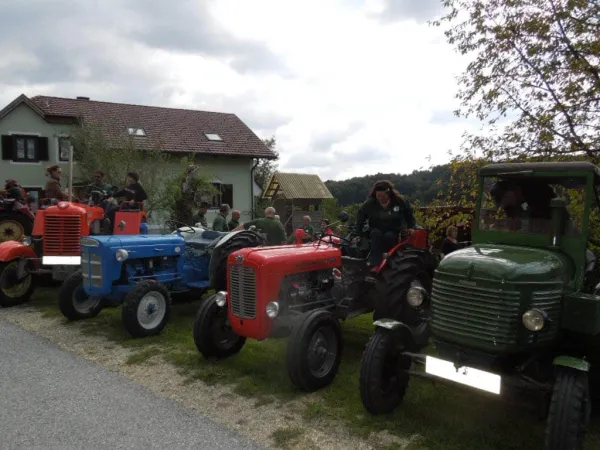 TRAKTOROLYMPIADE - LÖWENRALLYE 2013 – Traktor-Oldtimer-Club Markt Hartmannsdorf, Foto 66