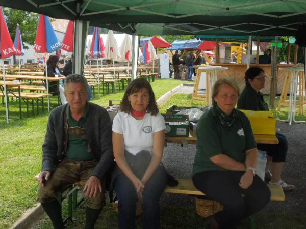 TOC FEST 2014 – Traktor-Oldtimer-Club Markt Hartmannsdorf, Foto 16