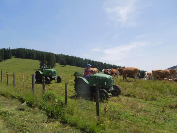3-TAGEFAHRT ALMENLAND 2014 – Traktor-Oldtimer-Club Markt Hartmannsdorf, Foto 17