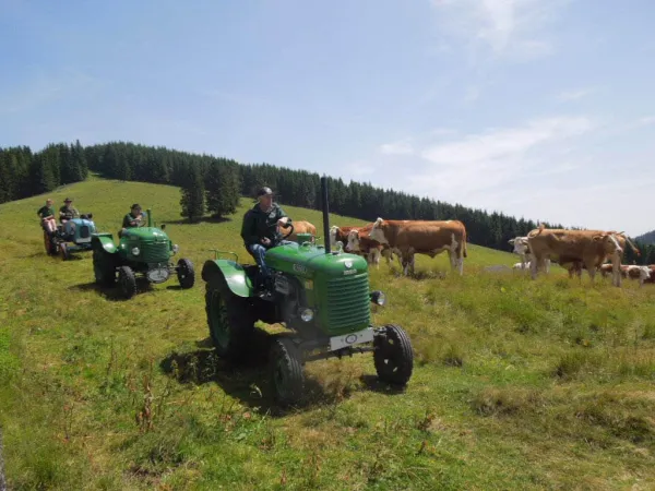 3-TAGEFAHRT ALMENLAND 2014 – Traktor-Oldtimer-Club Markt Hartmannsdorf, Foto 19