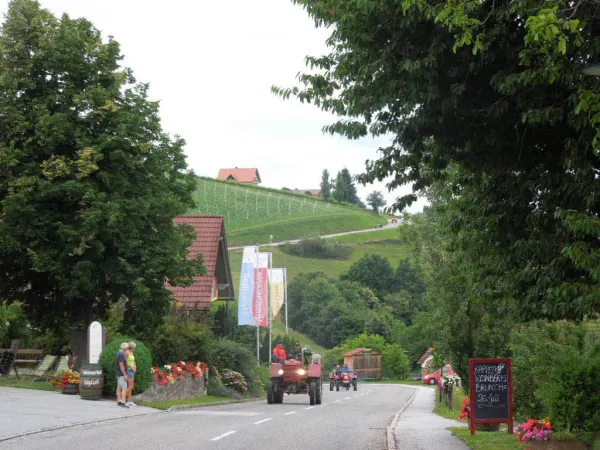 3-TAGEFAHRT DEUTSCHLANDSBERG 2015 – Traktor-Oldtimer-Club Markt Hartmannsdorf, Foto 37