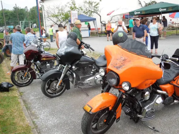 TOC FEST 2015 – Traktor-Oldtimer-Club Markt Hartmannsdorf, Foto 18