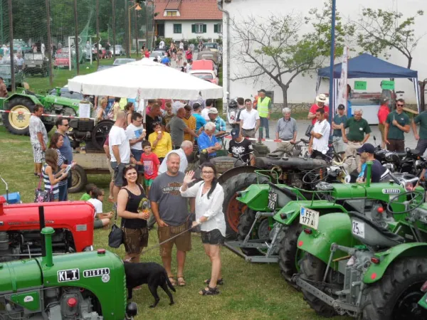 TOC FEST 2015 – Traktor-Oldtimer-Club Markt Hartmannsdorf, Foto 83