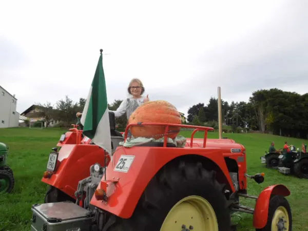 TRAKTOROLYMPIADE - EINWINTERUNGSFAHRT 2015 – Traktor-Oldtimer-Club Markt Hartmannsdorf, Foto 26