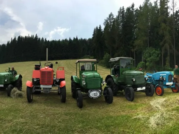3-TAGEFAHRT ALPL 2016 – Traktor-Oldtimer-Club Markt Hartmannsdorf, Foto 47