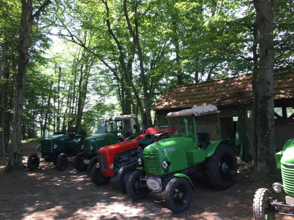 3-TAGEFAHRT KLÖCH 2017 – Traktor-Oldtimer-Club Markt Hartmannsdorf, Foto 87