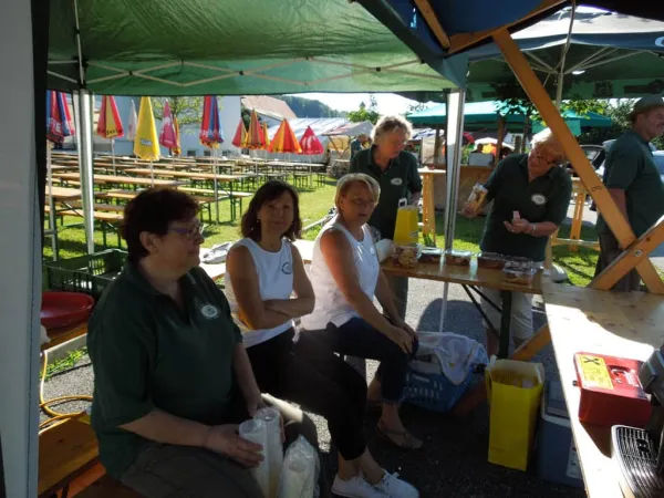 TOC FEST 2017 – Traktor-Oldtimer-Club Markt Hartmannsdorf, Foto 74