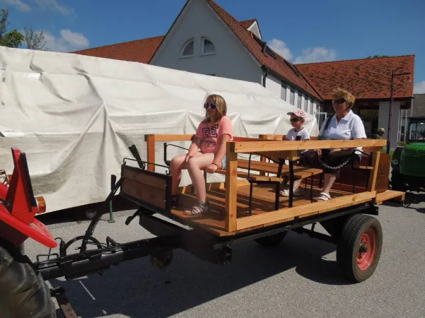 TOC FEST 2017 – Traktor-Oldtimer-Club Markt Hartmannsdorf, Foto 75