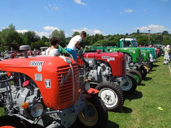 TOC FEST 2017 – Traktor-Oldtimer-Club Markt Hartmannsdorf, Foto 90