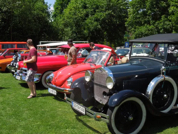 TOC FEST 2017 – Traktor-Oldtimer-Club Markt Hartmannsdorf, Foto 106